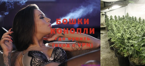 трава Вязьма