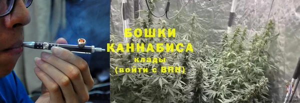 трава Вязьма