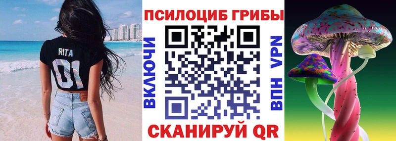 Купить где  Волчанск  Галлюциногенные грибы GOLDEN TEACHER 